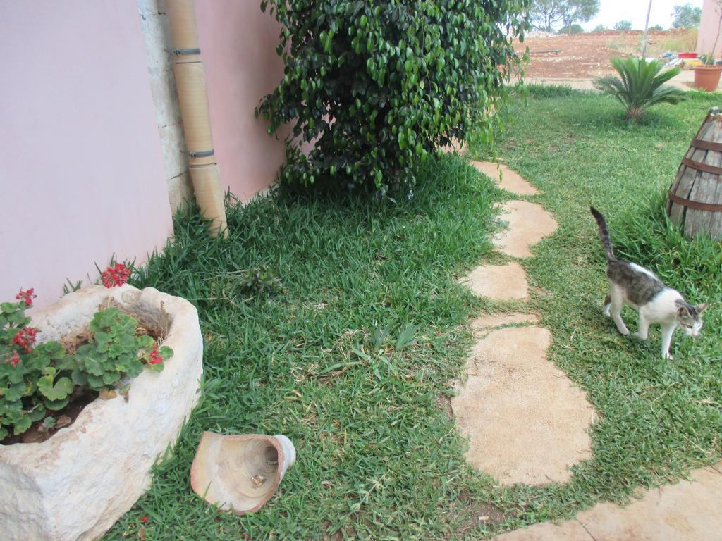 Le Mangiatoie Del Re Giordano Villa Avola Luaran gambar